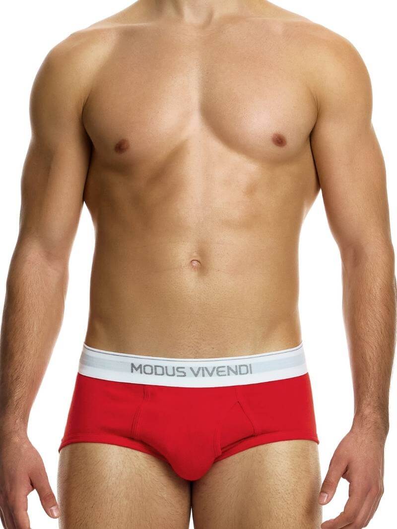Mens MODUS VIVENDI 3-Pack Staple Fly Brief