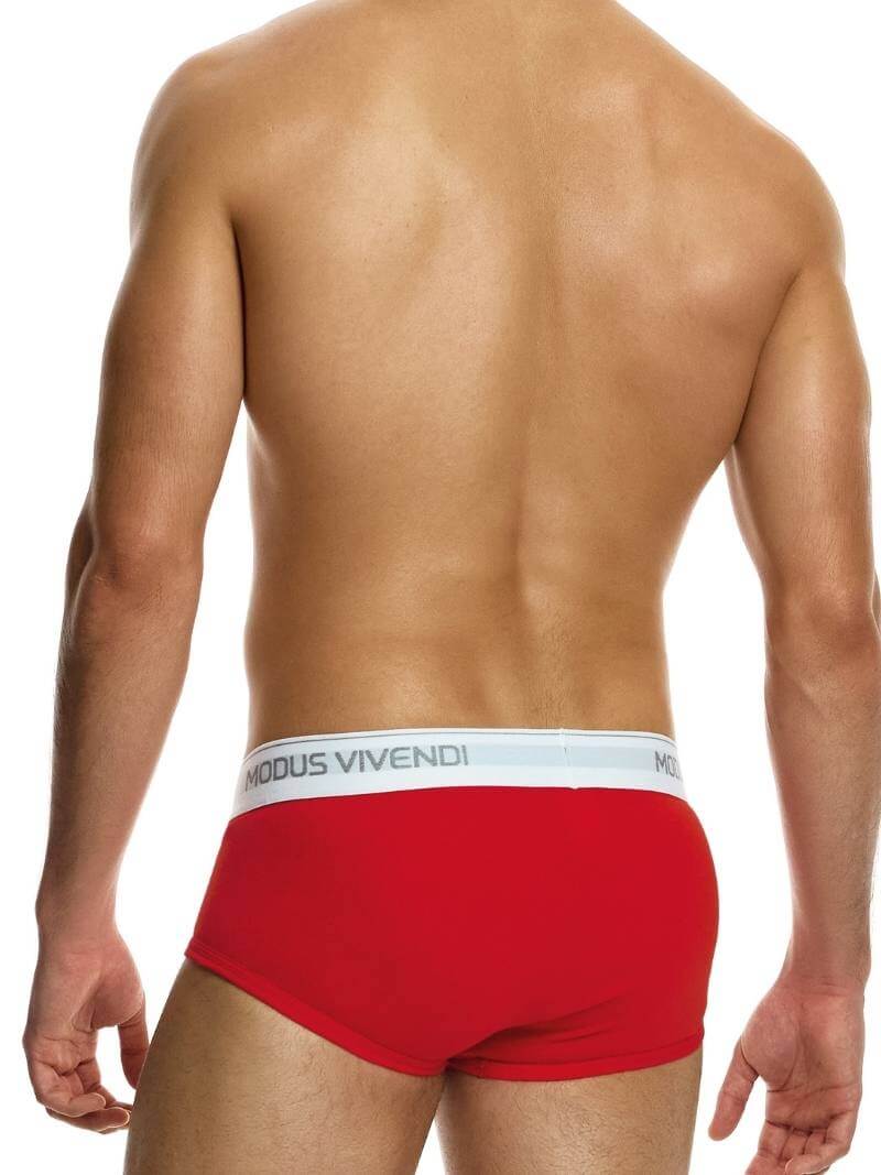 Mens MODUS VIVENDI Staple Eco-Cotton Fly Brief