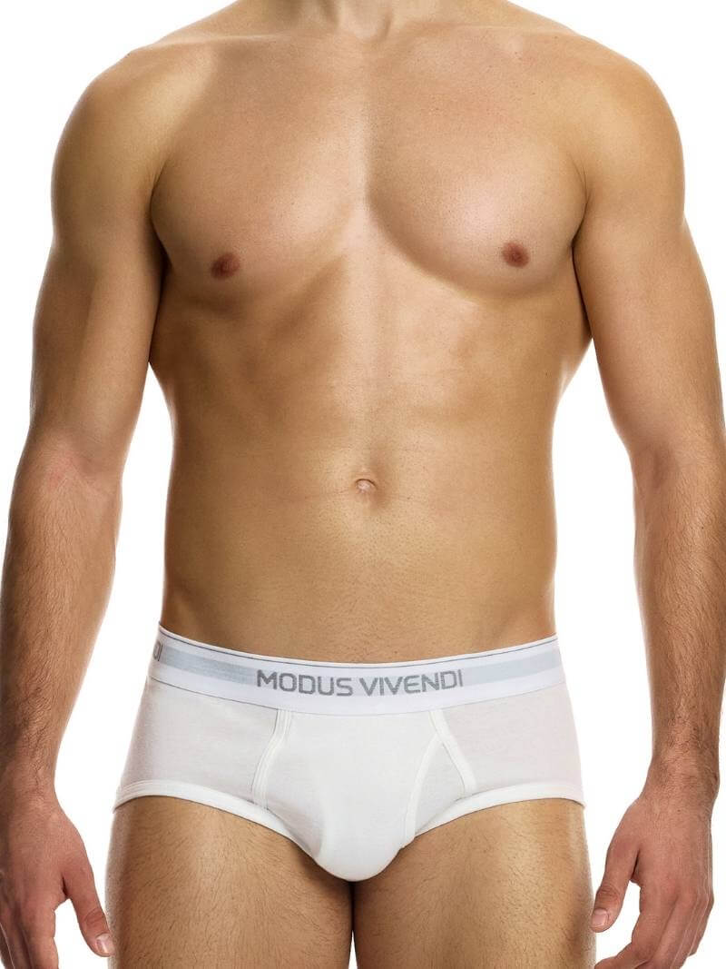 Mens MODUS VIVENDI 3-Pack Staple Fly Brief