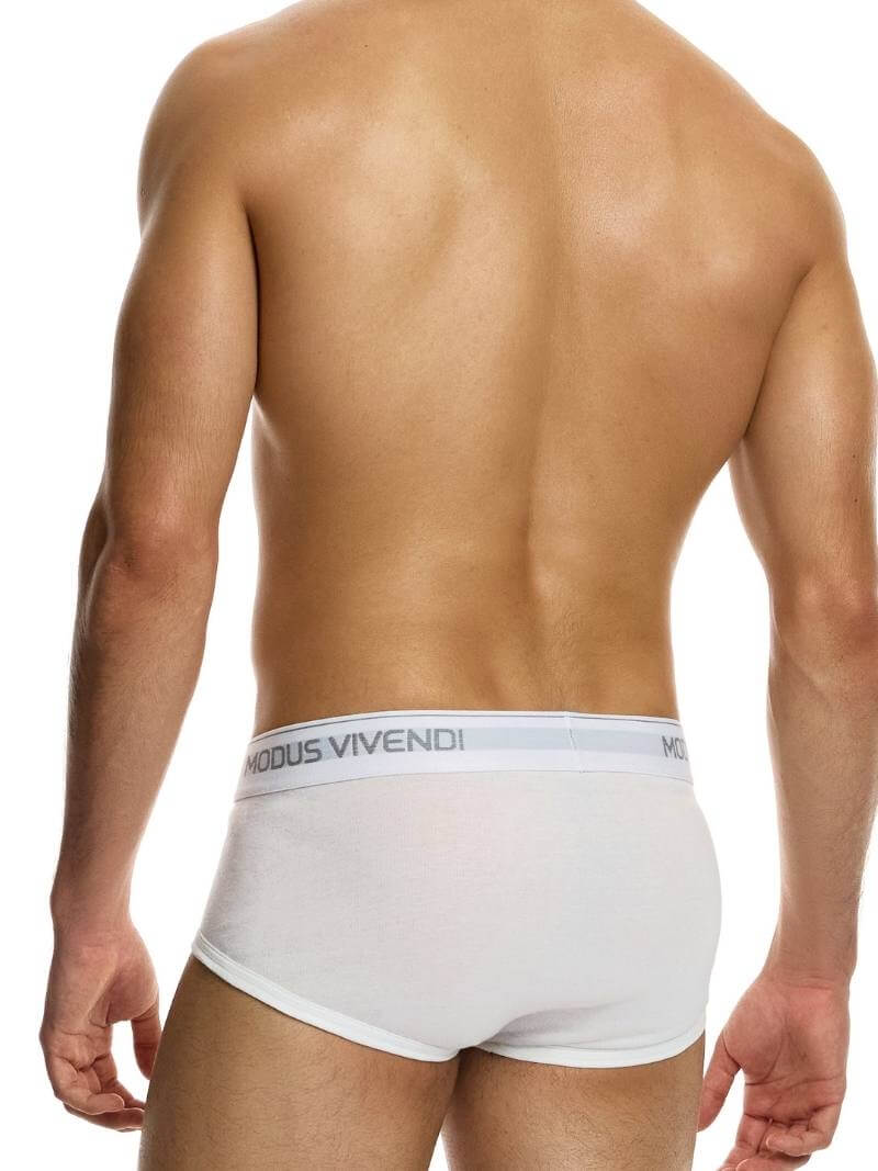 Mens MODUS VIVENDI Staple Eco-Cotton Fly Brief