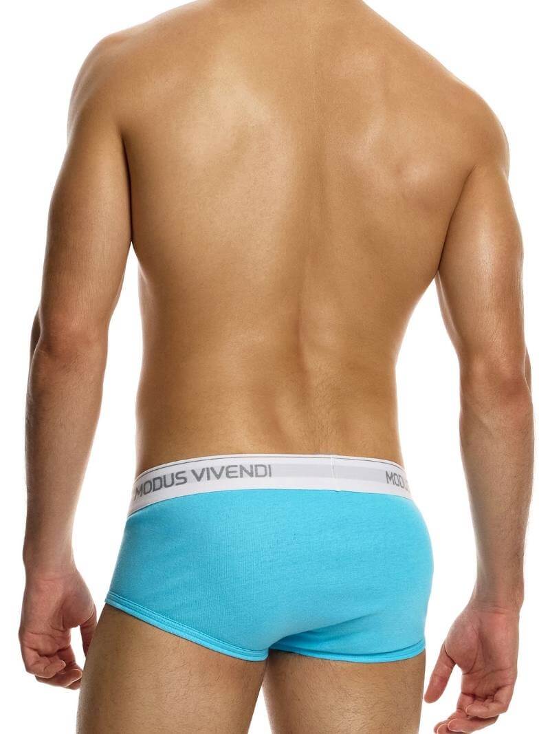 Mens MODUS VIVENDI Staple Eco-Cotton Fly Brief