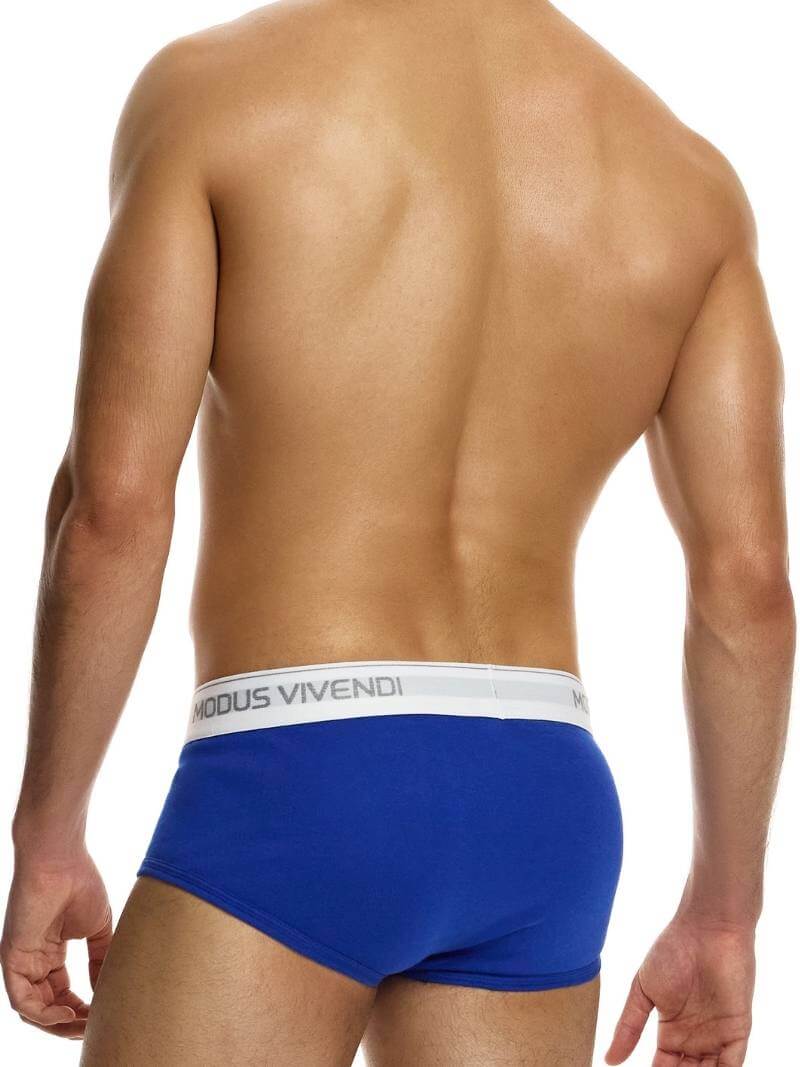Mens MODUS VIVENDI Staple Eco-Cotton Fly Brief