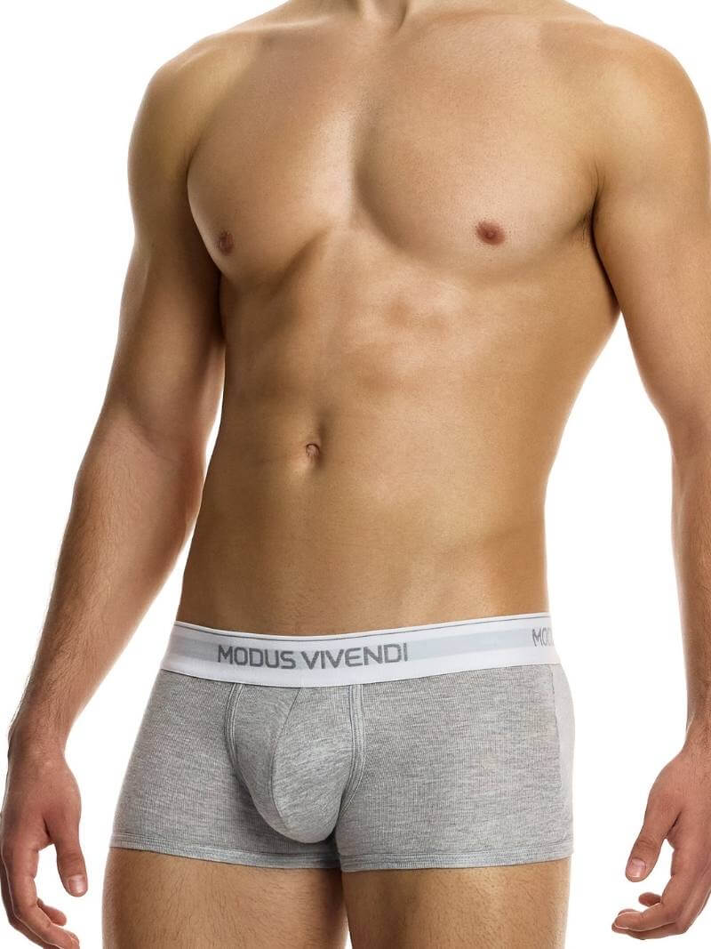 Mens MODUS VIVENDI Staple Boxer