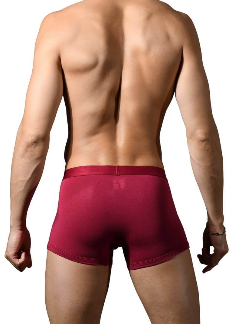 Men's Andrew Christian Bespoke Modal Boxer