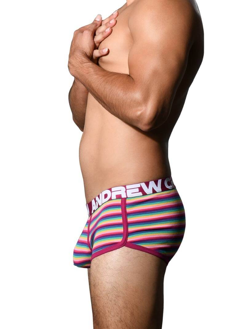 Men's Andrew Christian Colony Stripe Boxer