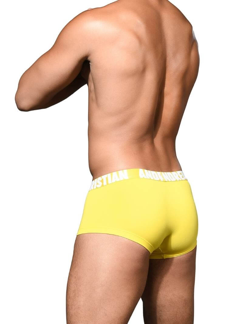 Men's Andrew Christian Eco Fabric Collective Boxer with Recycled Yarns