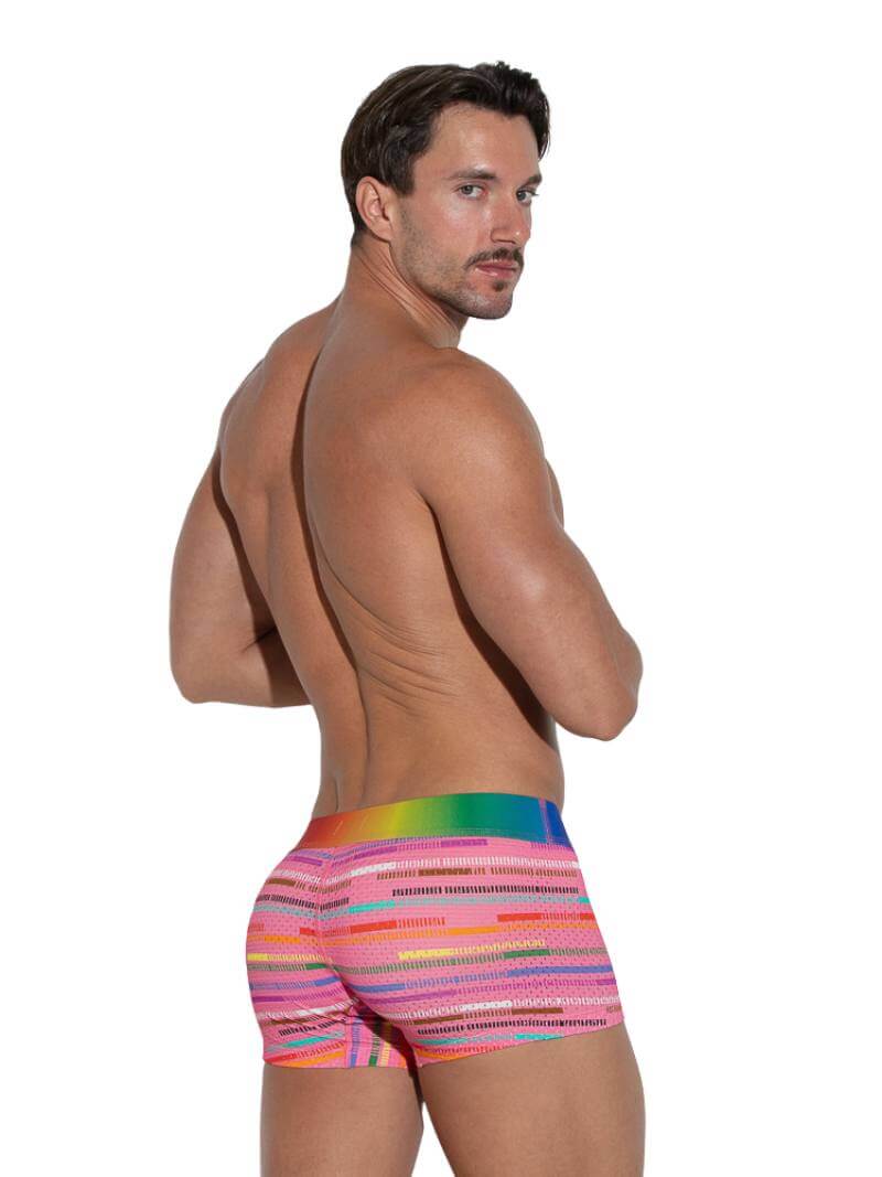 CODE 22 Rainbow Pride Striped Mesh Trunk