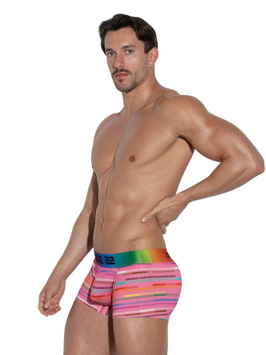 CODE 22 Gay Pride Striped Mesh Trunk