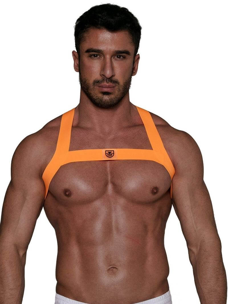Mens TOF Paris Neon Party Chest Harness