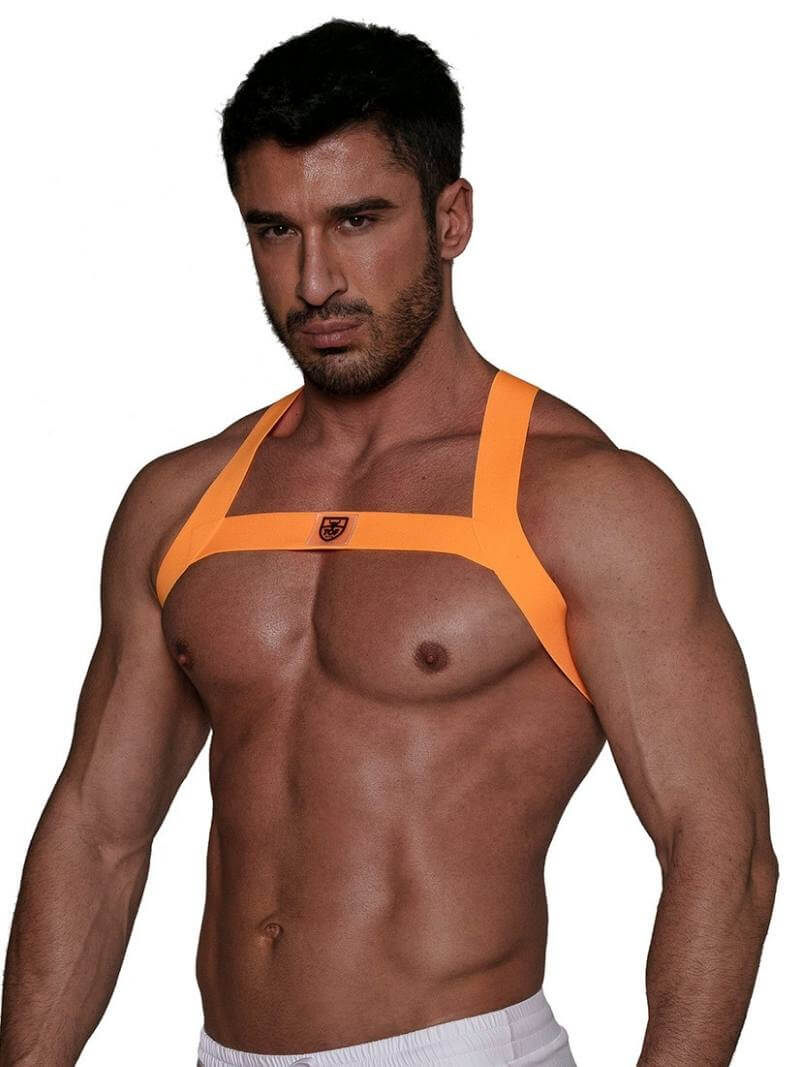 Mens TOF Paris Neon Party Chest Harness