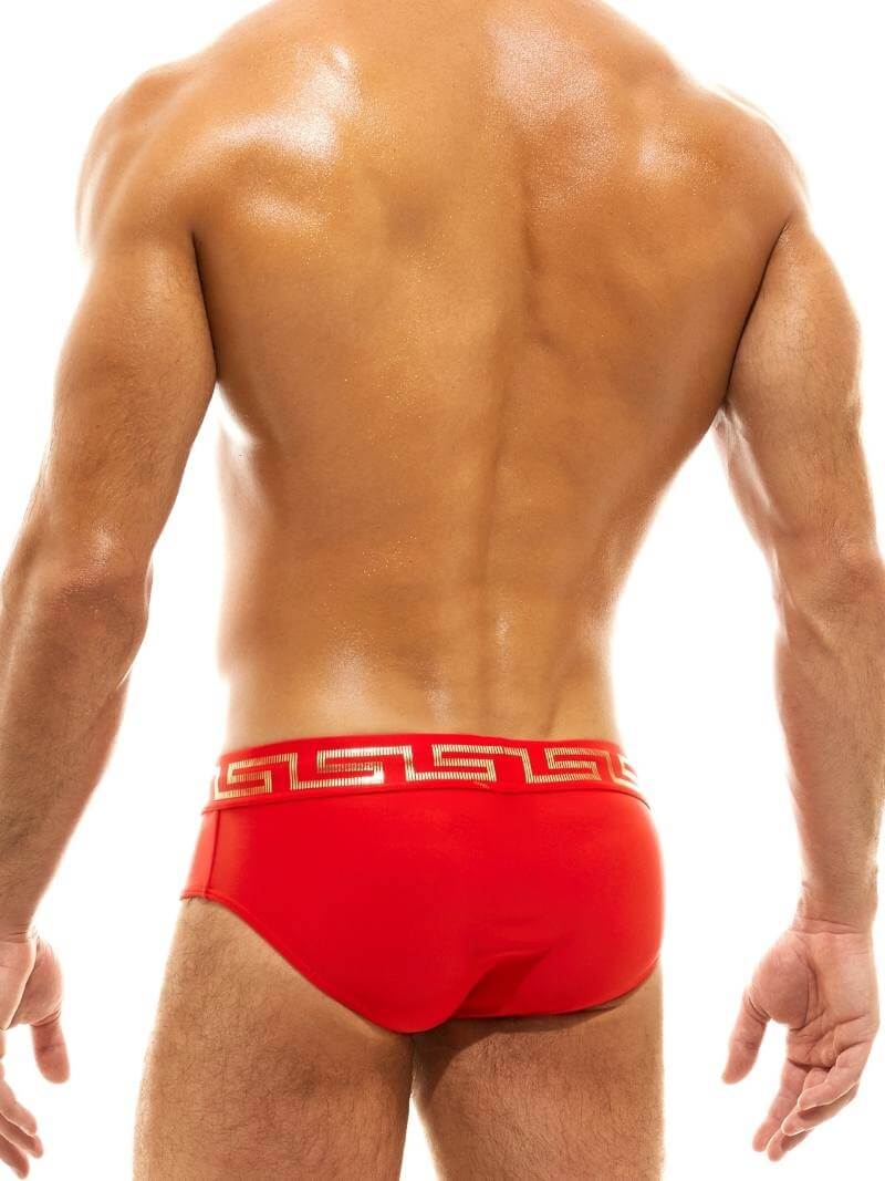 Mens MODUS VIVENDI Glam Meander Swim Brief, Gold/Silver Foil Print