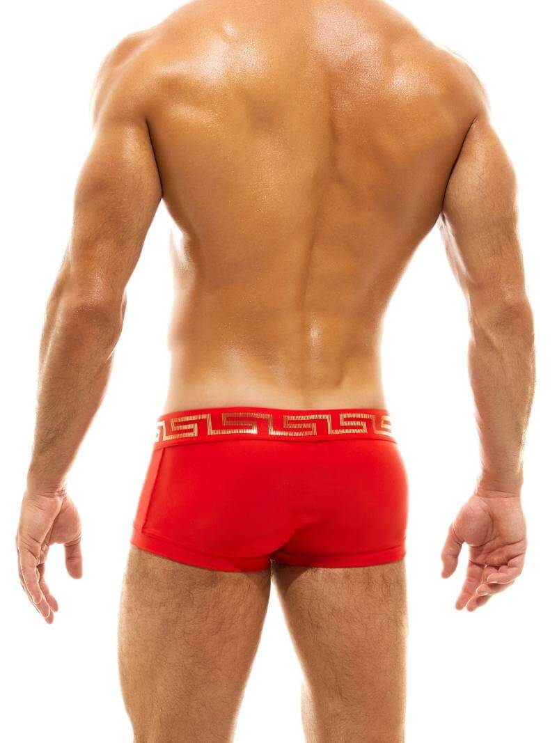 Mens MODUS VIVENDI Glam Meander Luxury Swimming Trunk, Gold/Silver Foil Print