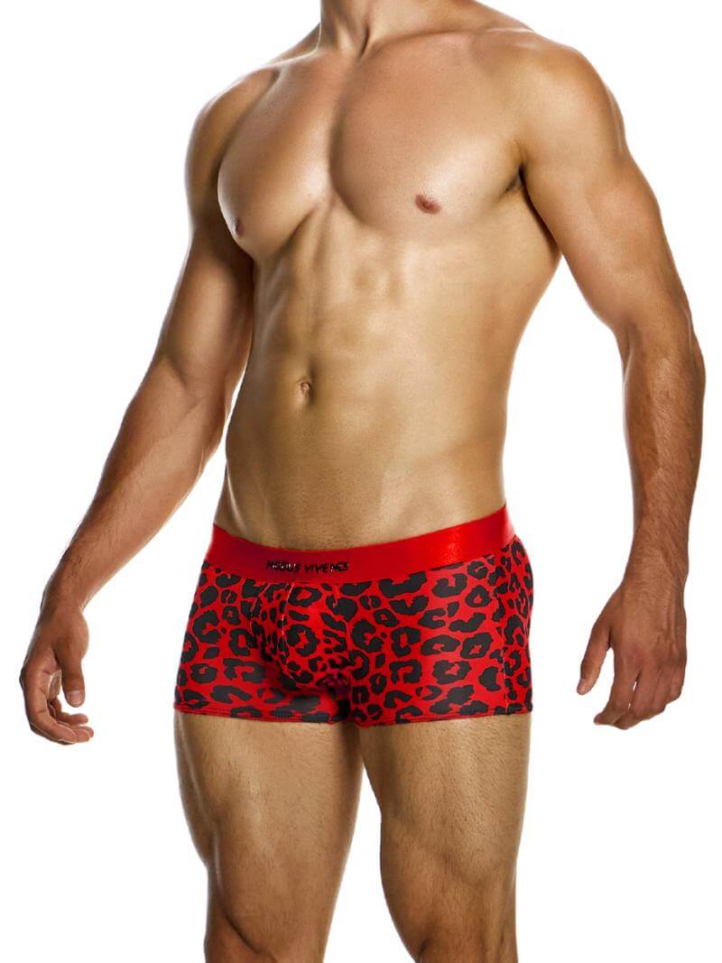 Mens MODUS VIVENDI Leopard Boxer