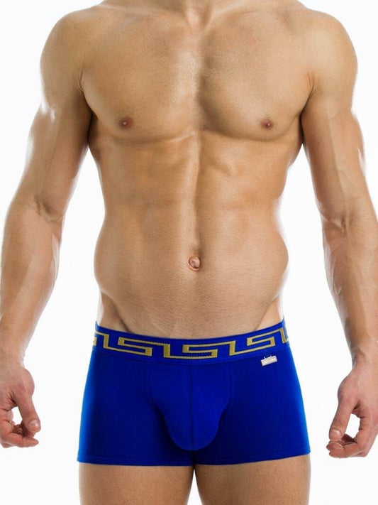 A model wearing a blue boxer brief with a Meander Greek Key print waistband in silver or gold, and a MV gold or silver brand charm logo.