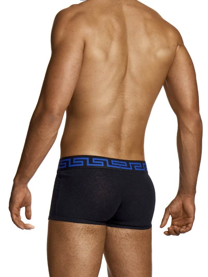Man wearing black boxer briefs with a blue waistband on a white background