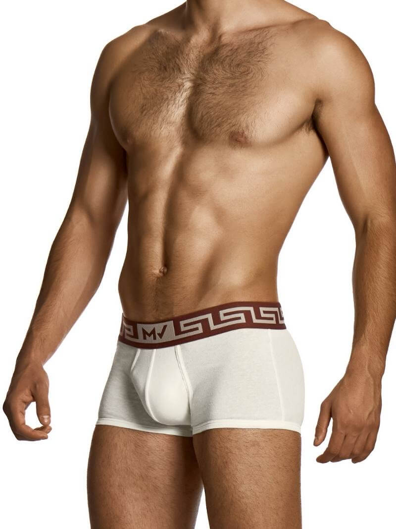 MODUS VIVENDI Luxurious Linen & Cotton Boxer