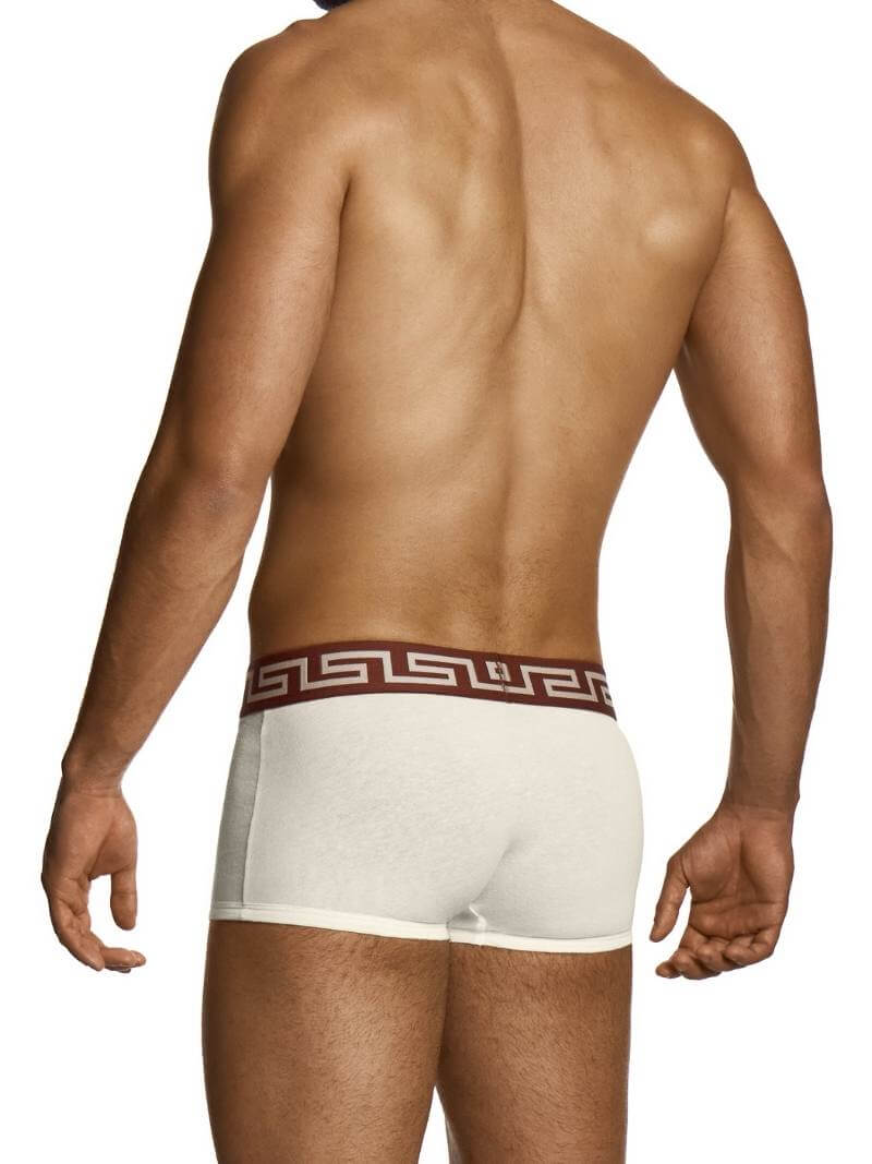 MODUS VIVENDI Luxurious Linen & Cotton Boxer