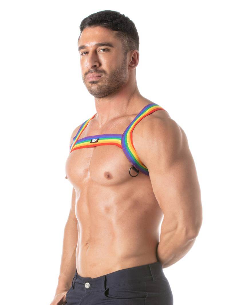 Mens TOF Paris Rainbow Chest Harness