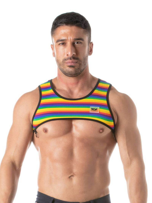 Mens TOF Paris Rainbow Striped Cropped Top