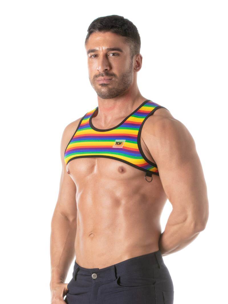 Mens TOF Paris Rainbow Striped Cropped Top