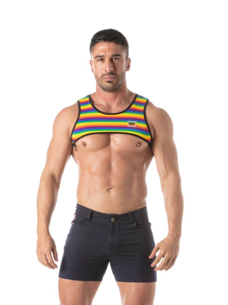 Mens TOF Paris Rainbow Striped Cropped Top