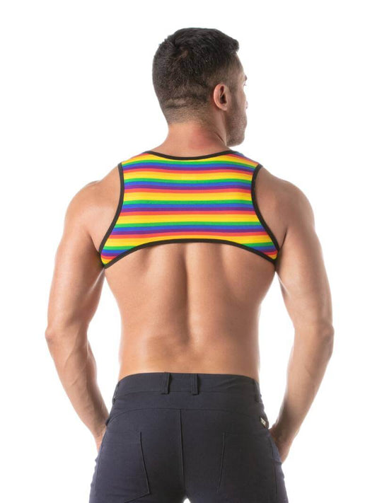 Mens TOF Paris Rainbow Striped Cropped Top