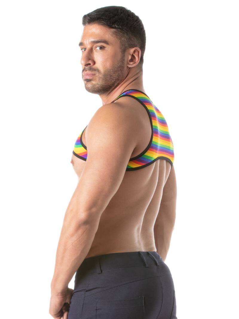 Mens TOF Paris Rainbow Striped Cropped Top