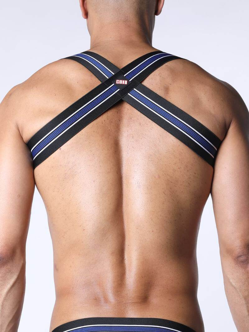 Person wearing a black and blue harness on a white background
