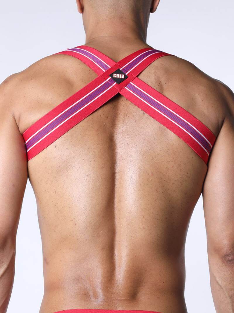Person wearing a red and purple harness on a plain background