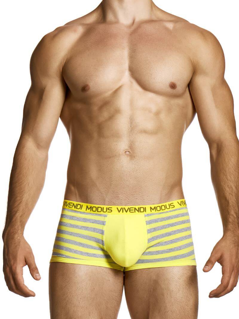 Yellow and gray striped underwear with 'Vivendi Modus' branding on a white background