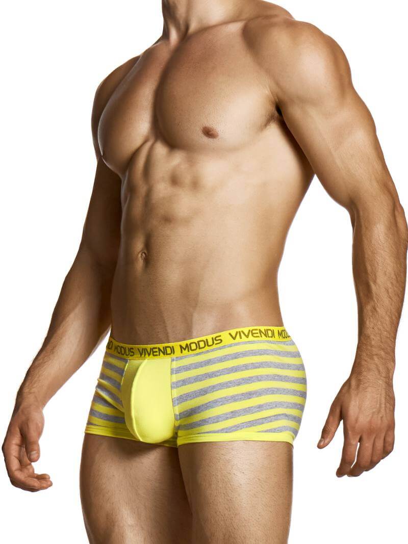 Man wearing yellow and gray striped underwear with 'Modus Vivendi' branding on a white background