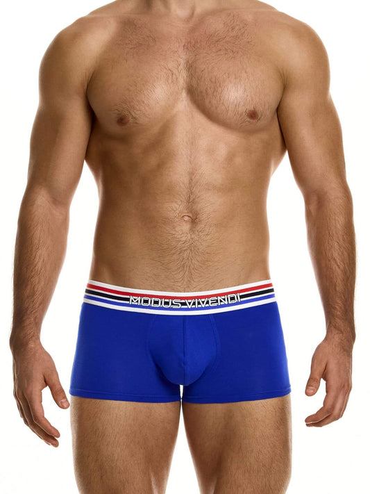 Man wearing blue boxer briefs with a brand logo on a white background