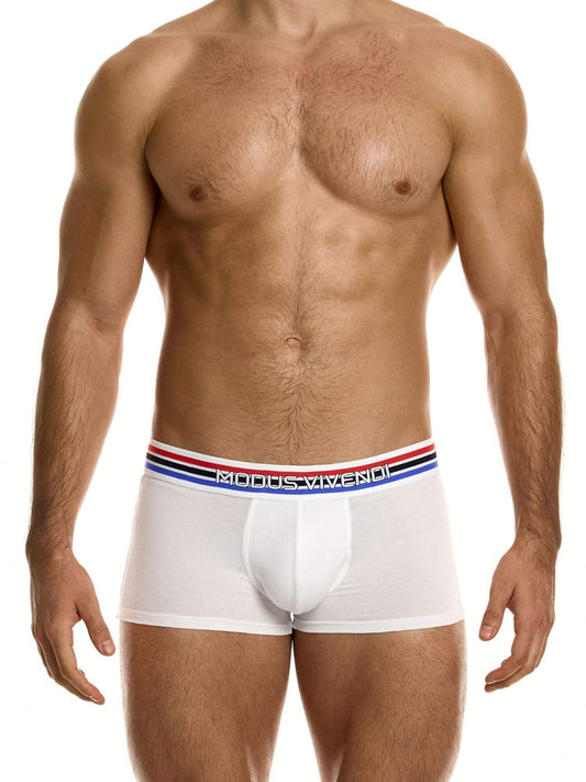 Man wearing white underwear with a brand logo on a white background