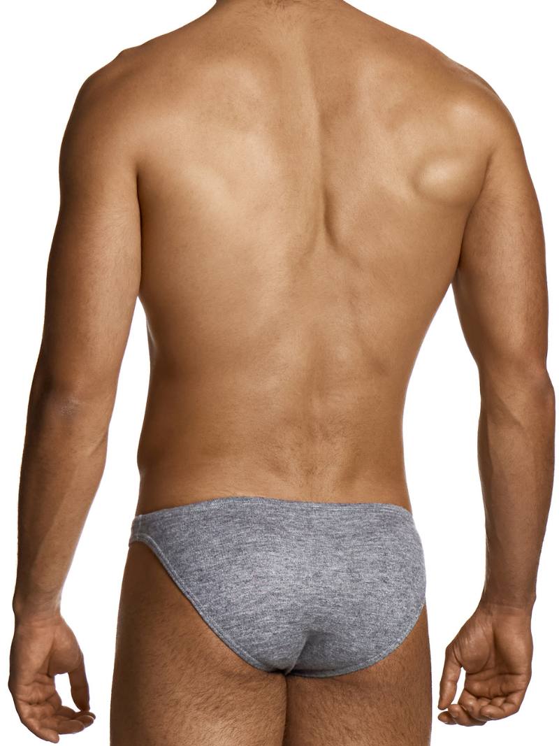 Gray men's underwear on a white background