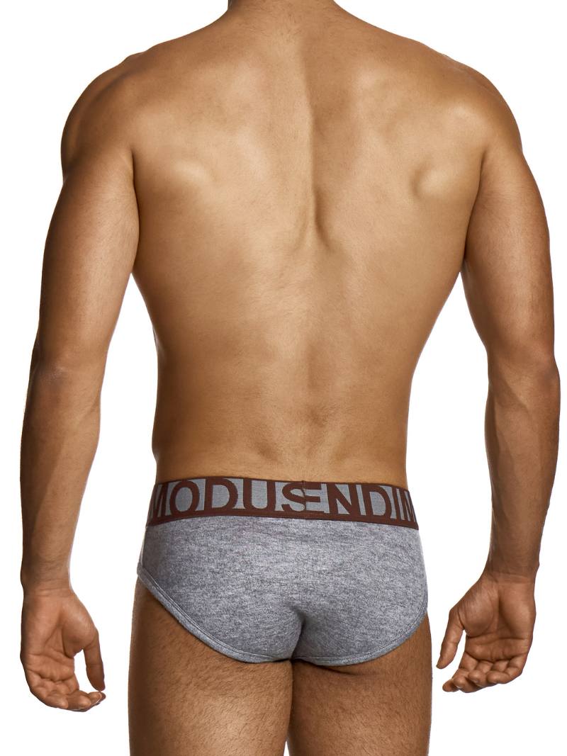 Man wearing a gray underwear with 'Modus Vivendi' brand logo on a white background