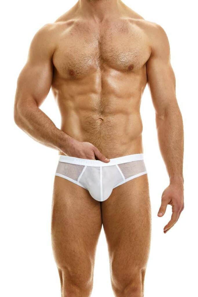 Modus Vivendi Muslin Brief Men S Sheer Brief