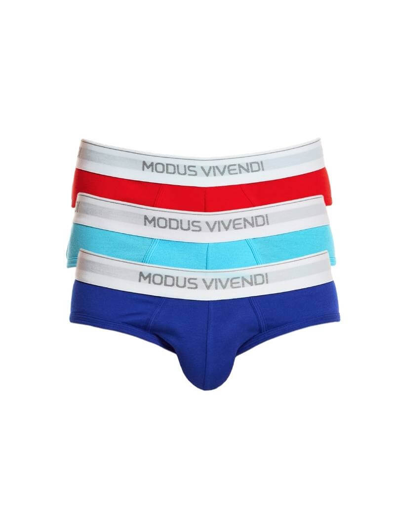 Modus Vivendi 3-Pack Staple Brief