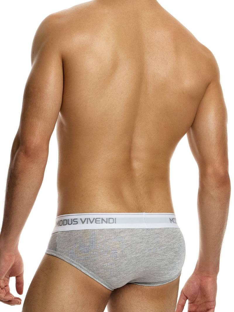 Modus Vivendi Staple Eco-Cotton Brief