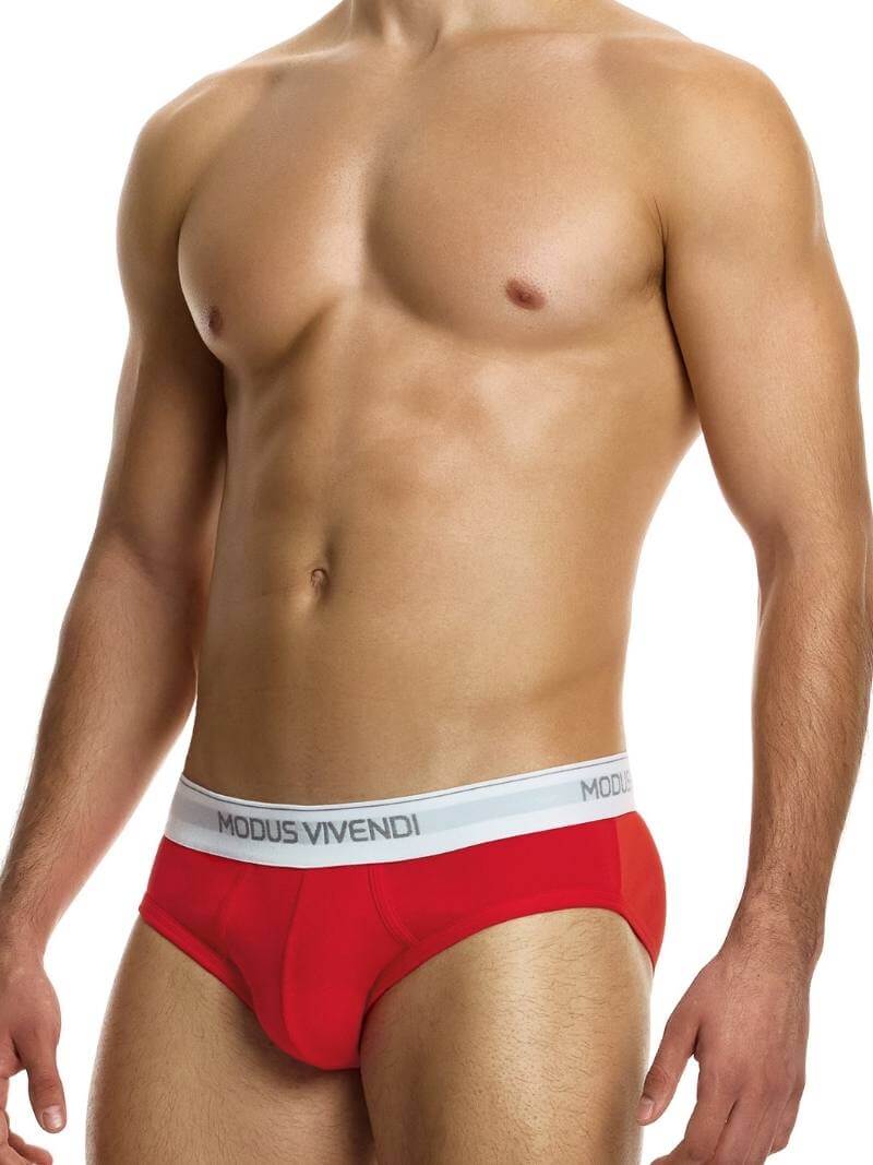 Modus Vivendi Staple Eco-Cotton Brief