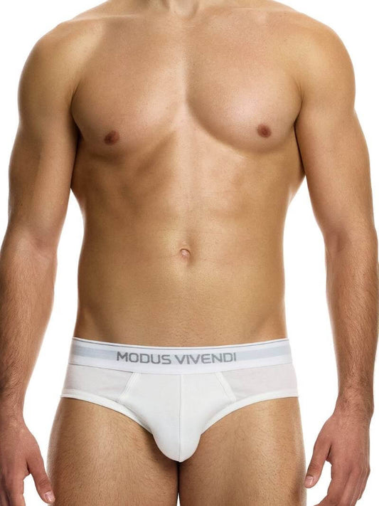 This image displays the MODUS VIVENDI Staple Eco-Cotton Brief, designed with comfort and style in mind. The brief features a low-rise waistband, providing a modern and snug fit.