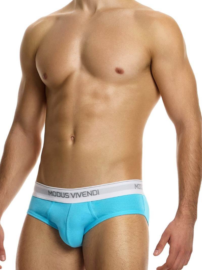 Modus Vivendi Staple Eco-Cotton Brief