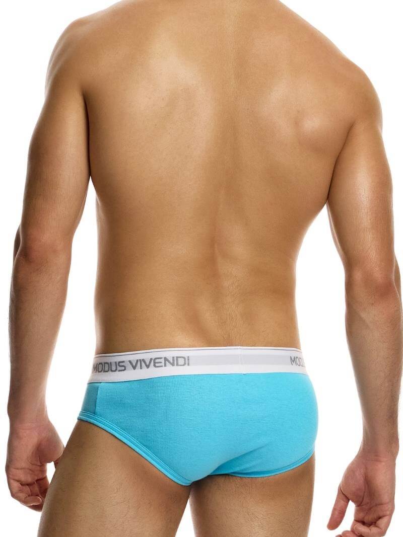 Modus Vivendi Staple Eco-Cotton Brief