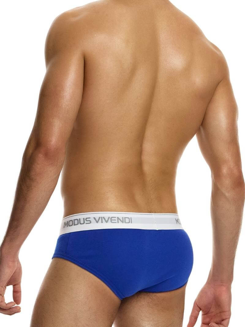 Modus Vivendi Staple Eco-Cotton Brief