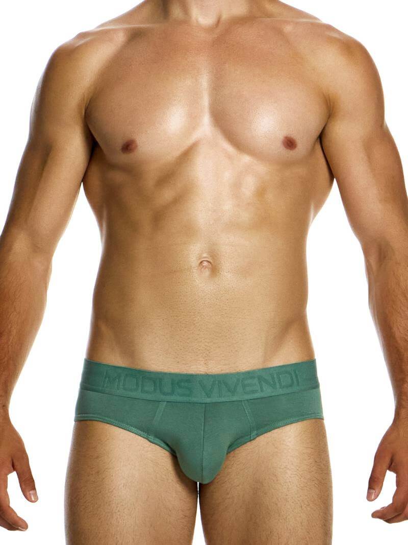 Modus Vivendi Bamboo Classic Brief