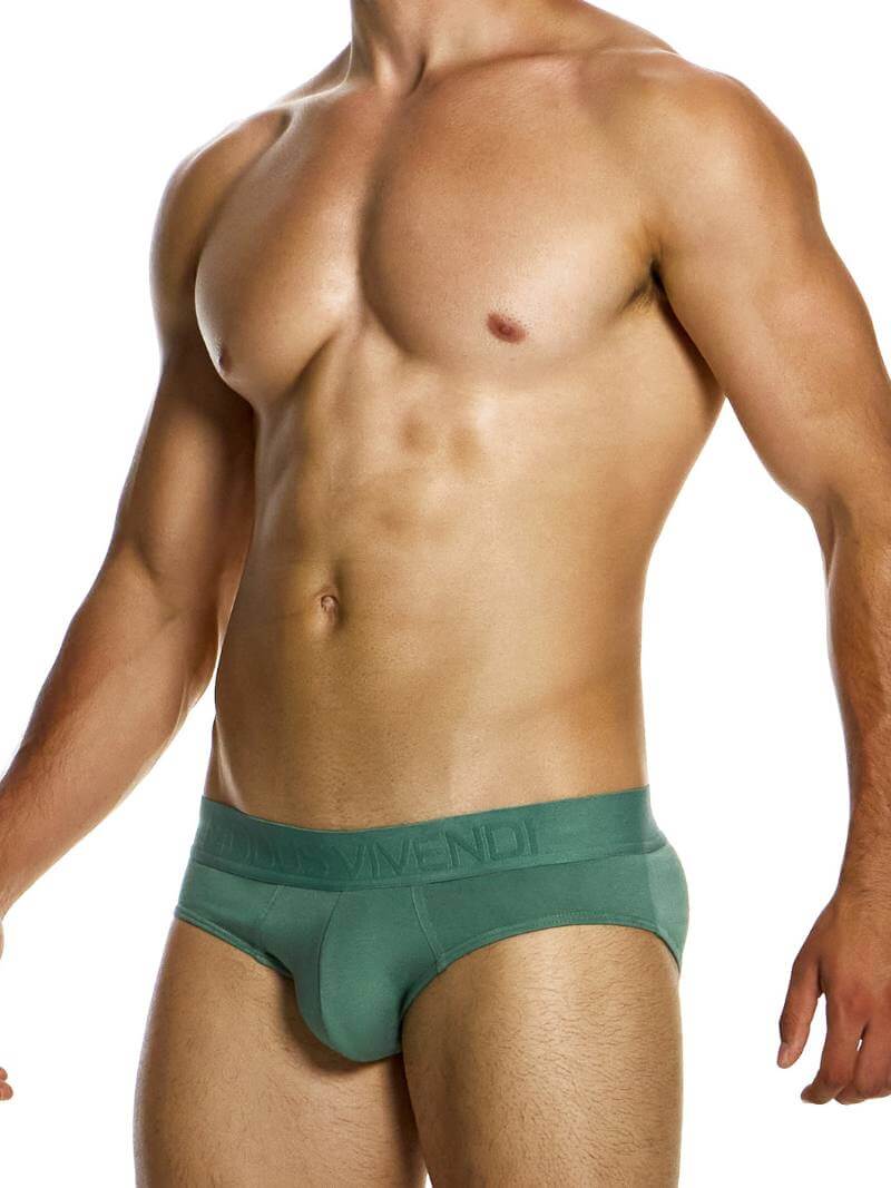 Modus Vivendi Bamboo Classic Brief