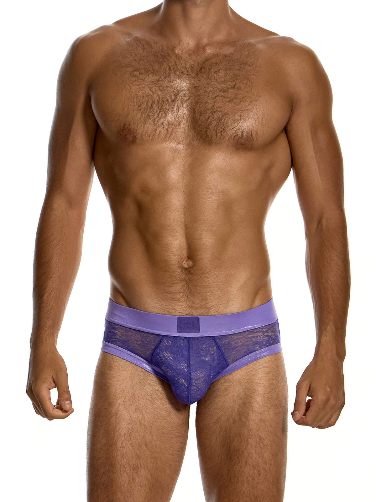 Modus Vivendi Lingerie Lace Classic Brief in purple, product photograph