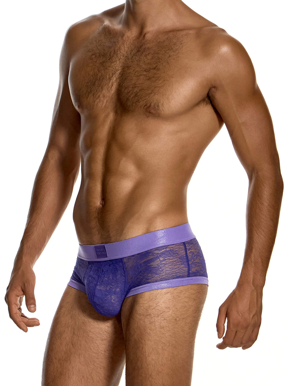 Modus Vivendi Lingerie Lace Boxer Trunk in purple, product photograph