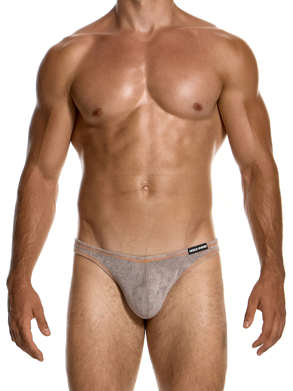 Modus Vivendi Towel Low Cut Bikini Brief in Taupe, product photograph