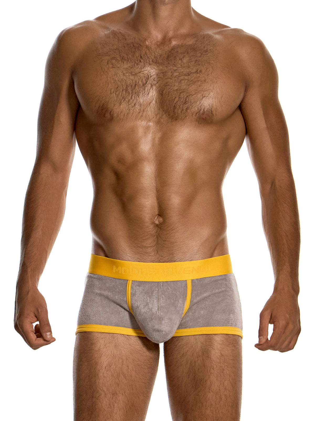 Modus Vivendi Towel Boxer Trunk in Taupe, product photograph