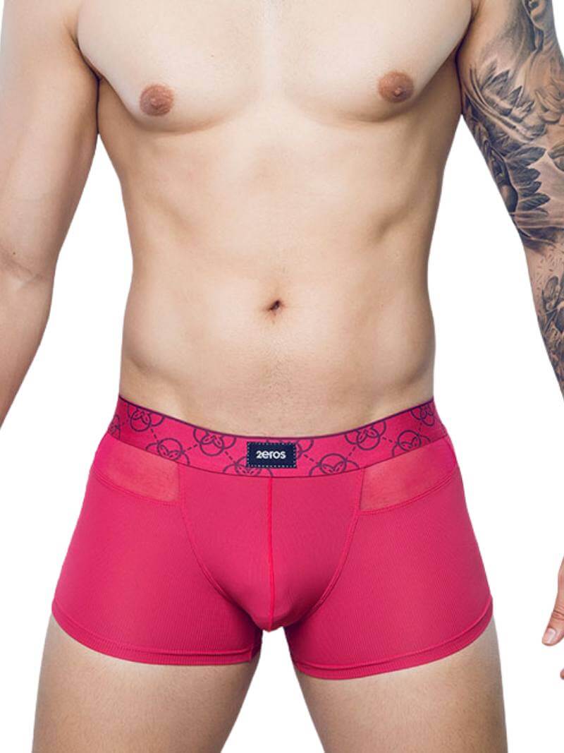 2eros Himeros Trunk: Breathable Mesh + CURV Pouch